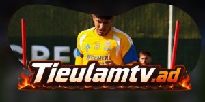 Nhận Định Queretaro FC Vs Tigres UANL 06h00 02/08