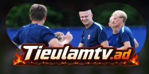 Nhận Định Sarpsborg 08 Vs Viking 00h15 13/07